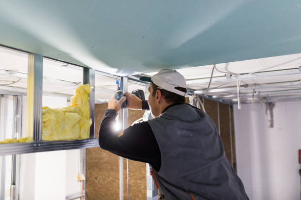Best Specialized Insulation Services in Buford, GA