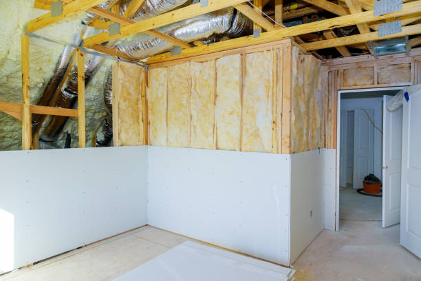 Professional Insulation Contractor in Buford, GA