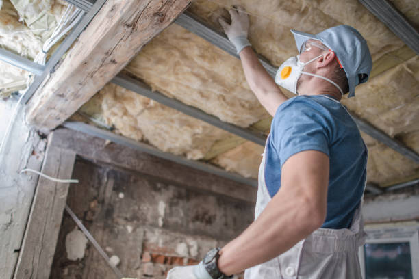 Types of Insulation We Offer in Buford, GA