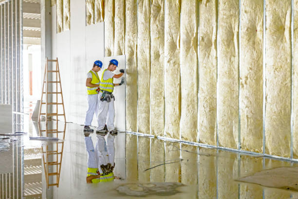 Best Blown-in Insulation in Buford, GA